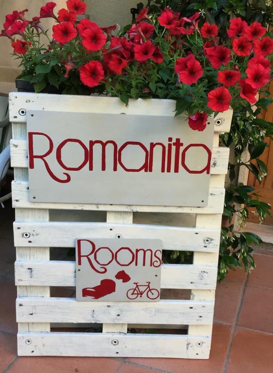 Camere E Appartamenti Baldini Romanita Radda in Chianti Εξωτερικό φωτογραφία