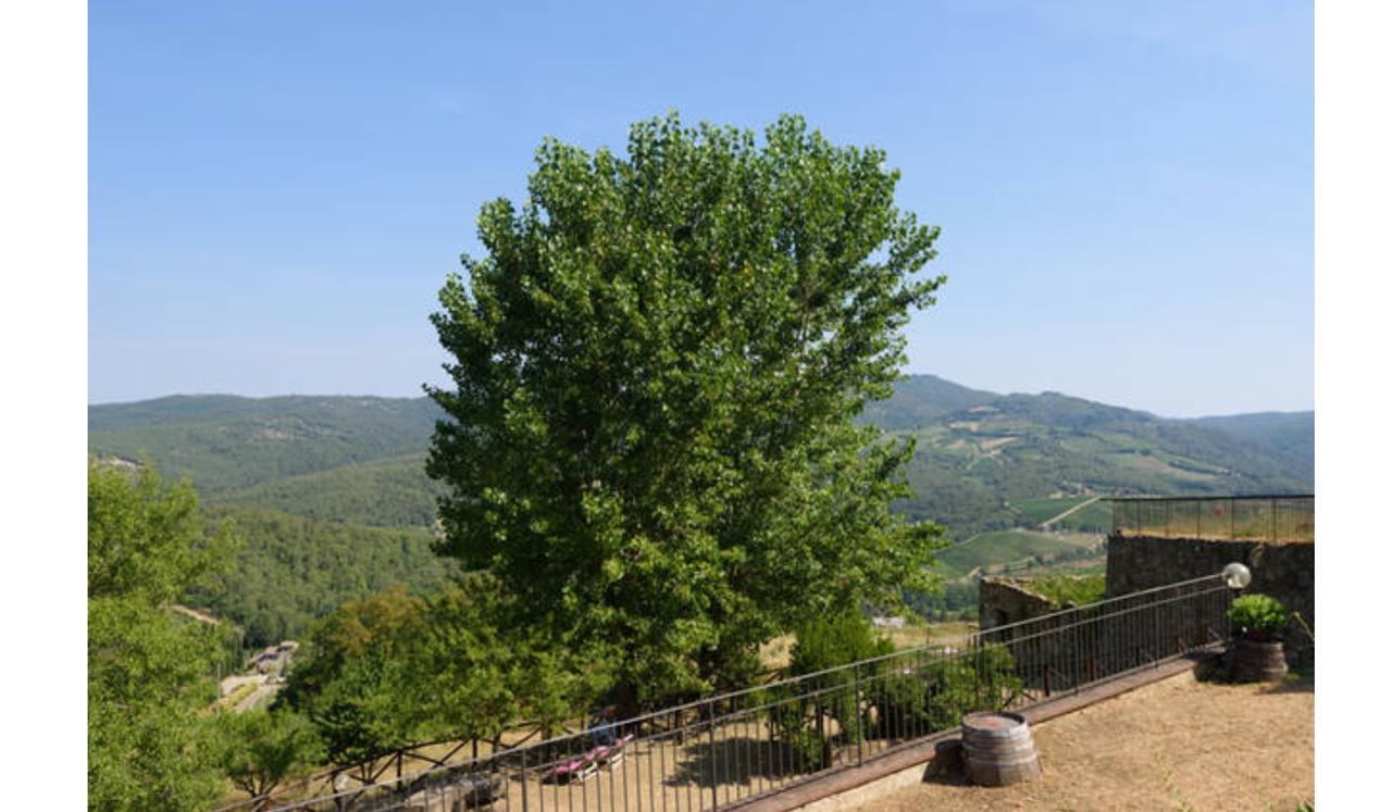 Camere E Appartamenti Baldini Romanita Radda in Chianti Εξωτερικό φωτογραφία