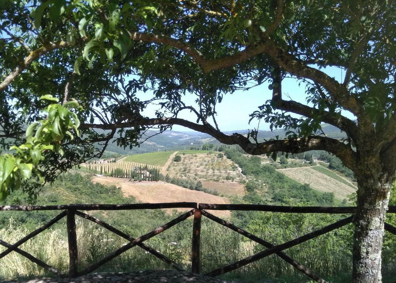 Camere E Appartamenti Baldini Romanita Radda in Chianti Εξωτερικό φωτογραφία